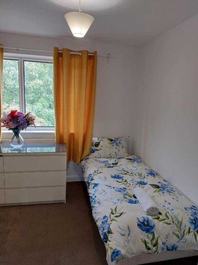 Superb 2 Bedroom Flat, Sleeps 6 Croydon Buitenkant foto